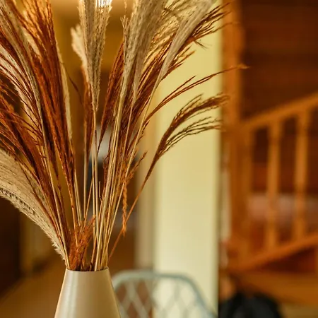 Casa Maldivas - Cerca De La Playa